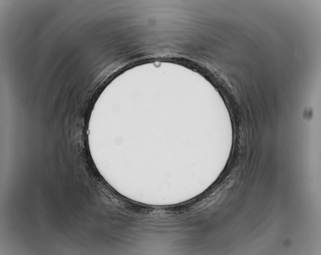 X0000099401265200806051159