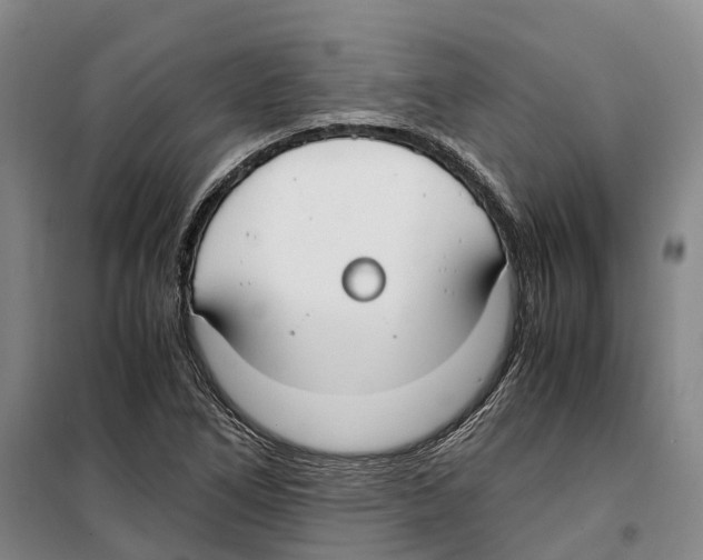 X0000099401266200806051159