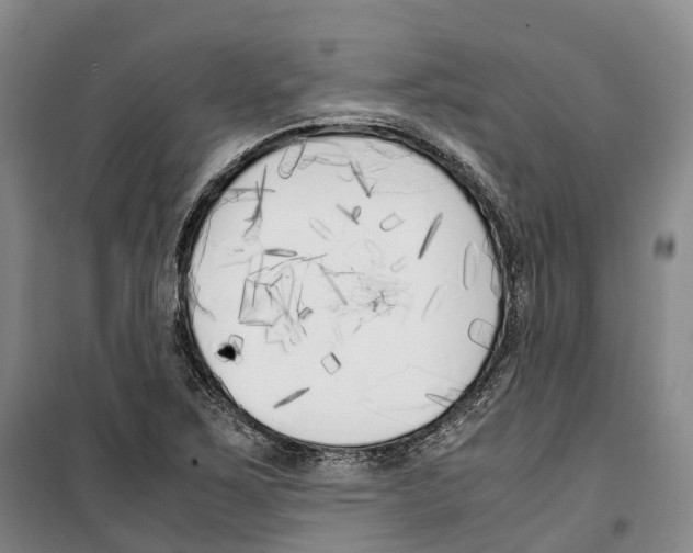 X0000099401267200806051159
