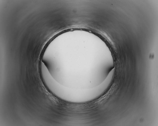 X0000099401268200806051159