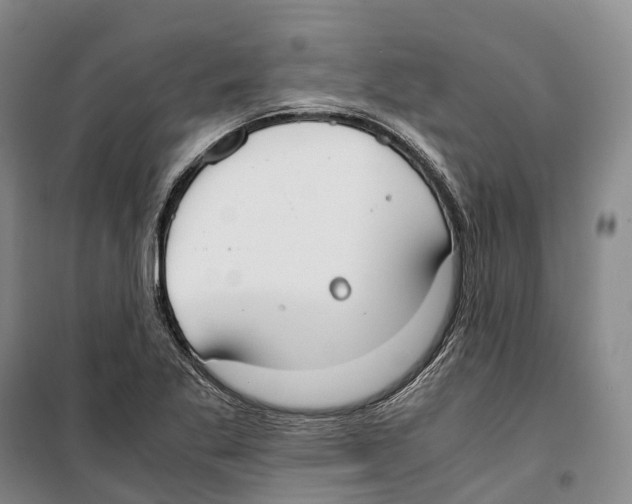 X0000099401269200806051159