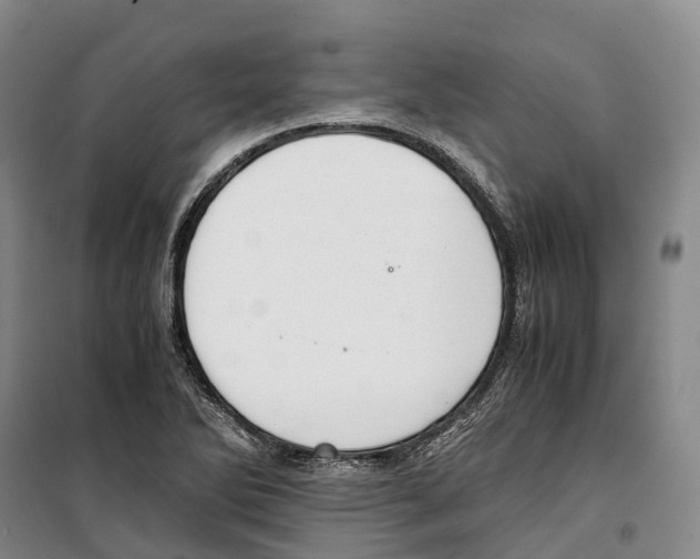 X0000099401270200806051159