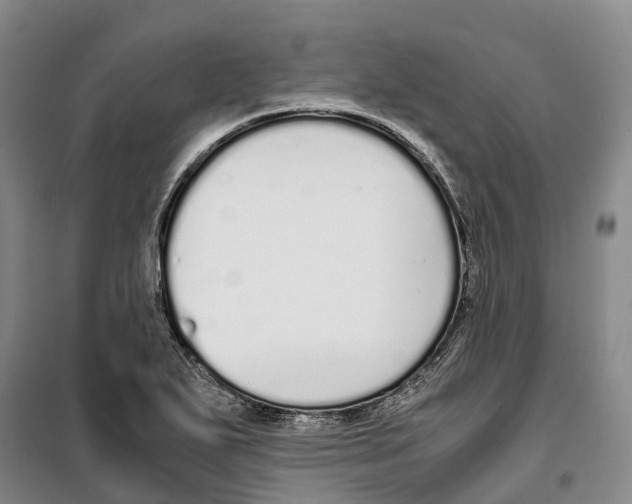 X0000099401271200806051159