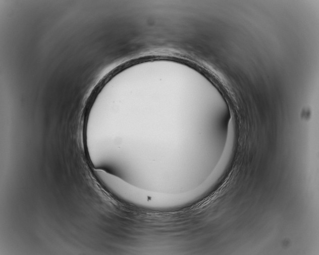 X0000099401272200806051159