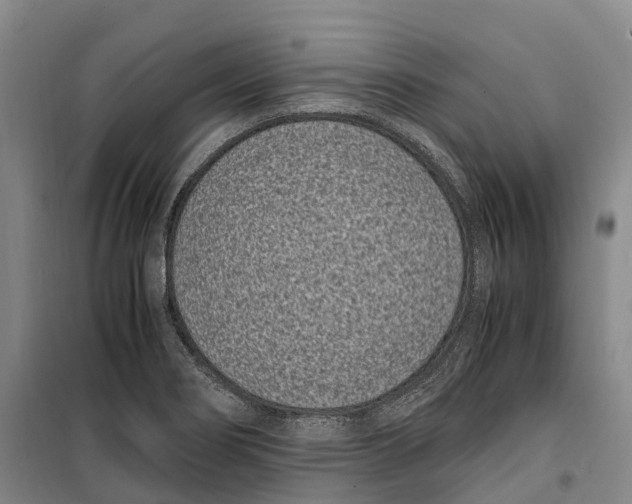 X0000099401274200806051159
