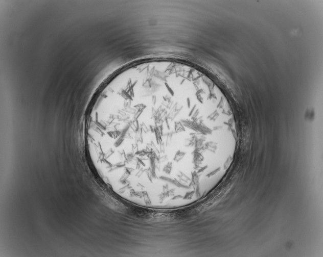 X0000099401275200806051159