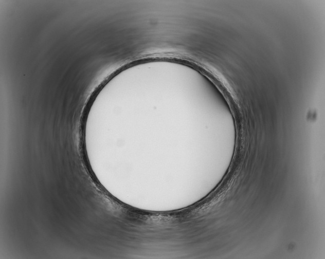 X0000099401277200806051159
