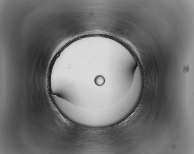 X0000099401278200806051159