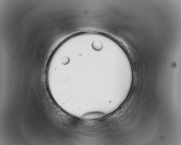 X0000099401279200806051159