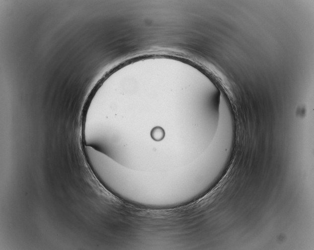 X0000099401280200806051159