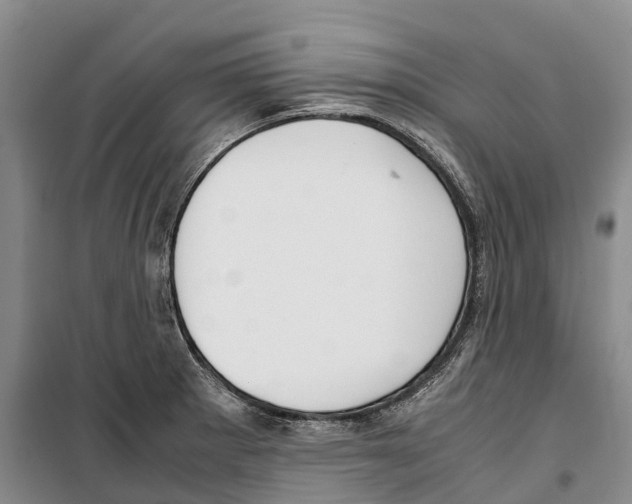 X0000099401281200806051159