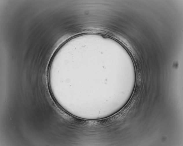 X0000099401283200806051159