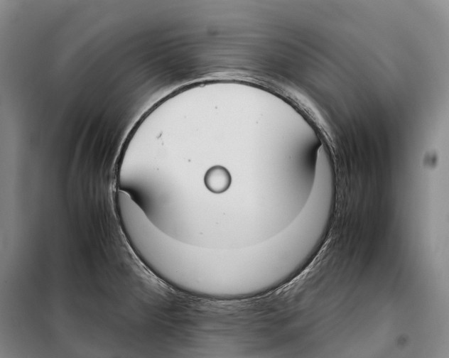 X0000099401284200806051159