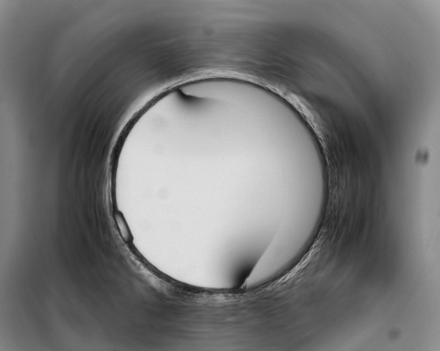 X0000099401286200806051159