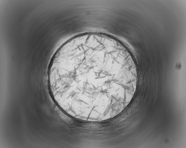 X0000099401287200806051159