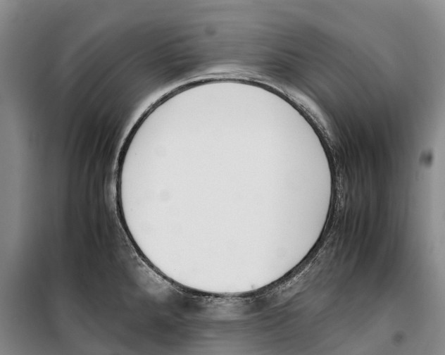 X0000099401288200806051159