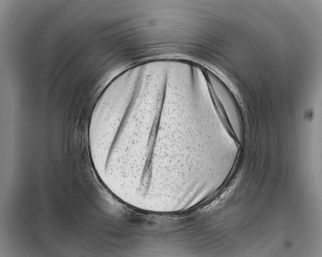 X0000099401289200806051159