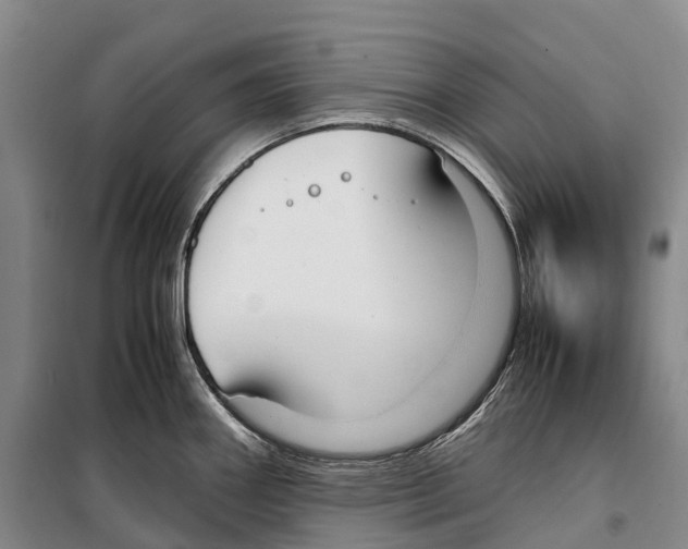 X0000099401290200806051159