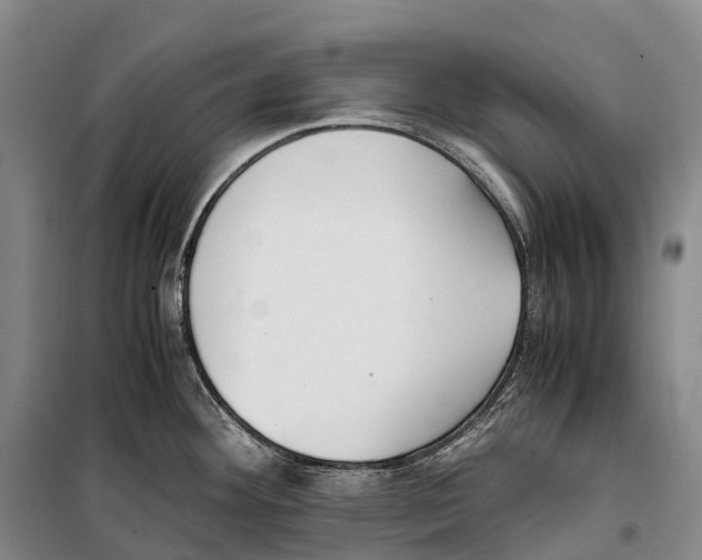 X0000099401292200806051159