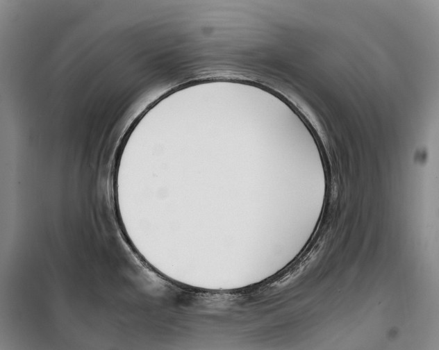 X0000099401293200806051159
