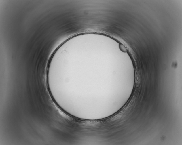 X0000099401294200806051159