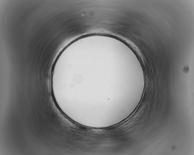 X0000099401295200806051159