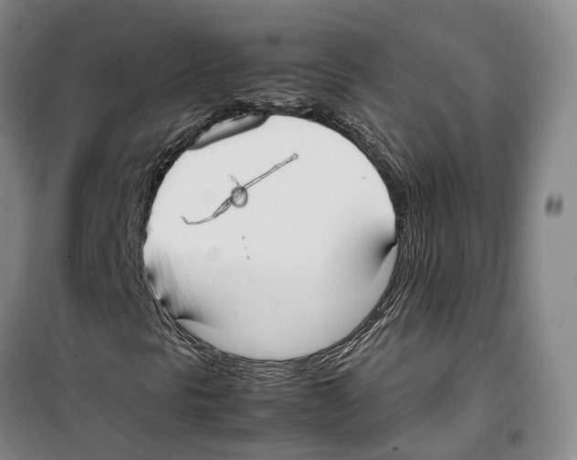 X0000099401297200806051158