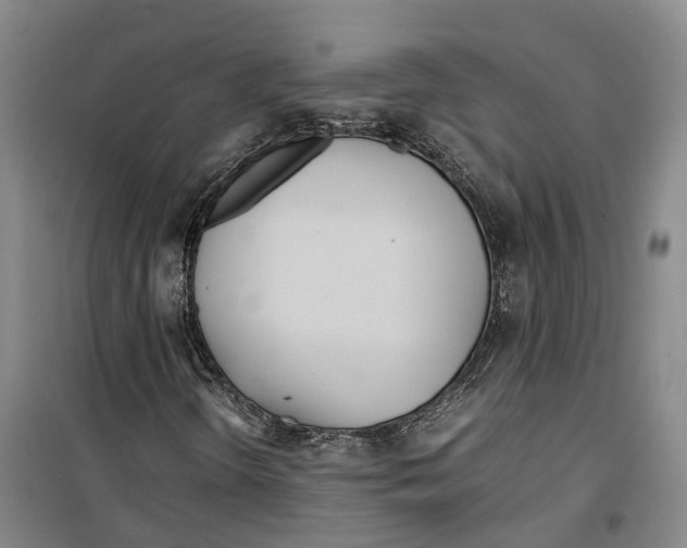 X0000099401298200806051158