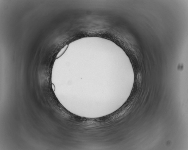 X0000099401300200806051158