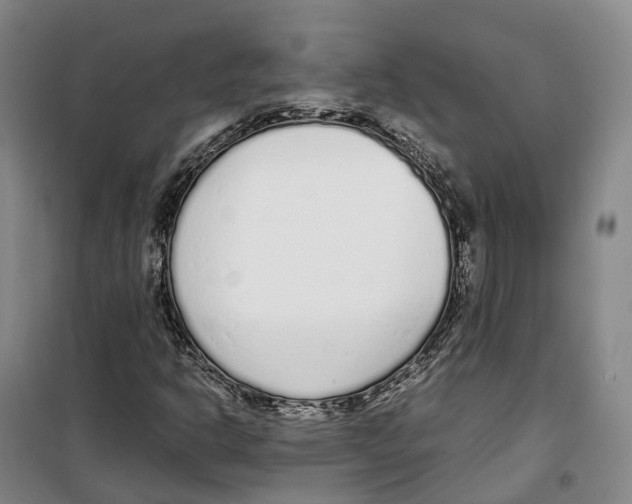 X0000099401302200806051158