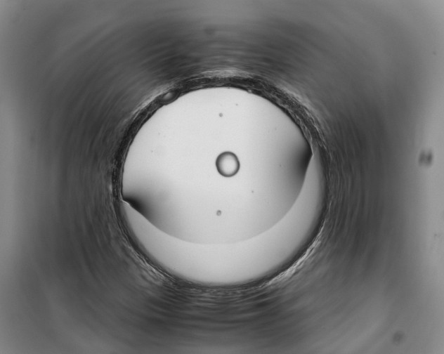 X0000099401305200806051158