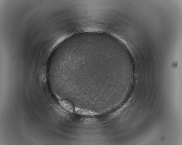 X0000099401306200806051158