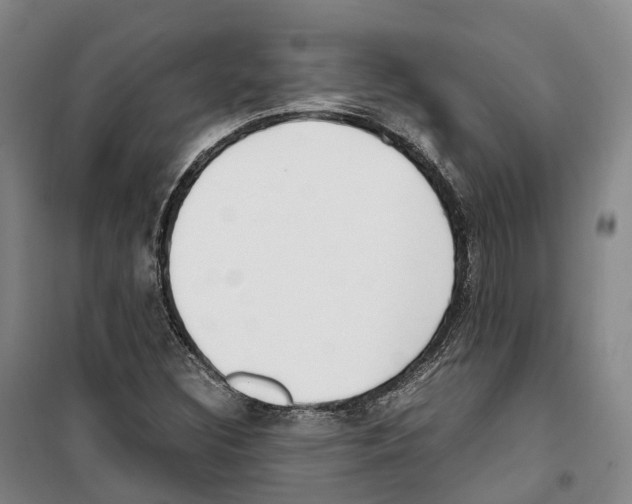 X0000099401308200806051158