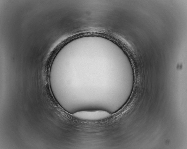 X0000099401310200806051158