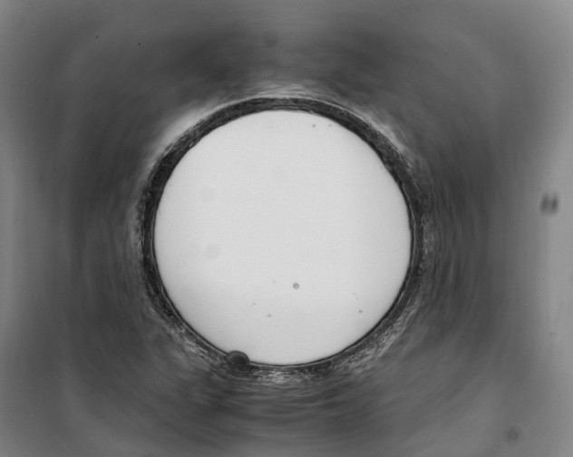 X0000099401311200806051158