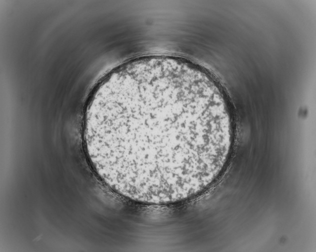 X0000099401314200806051158