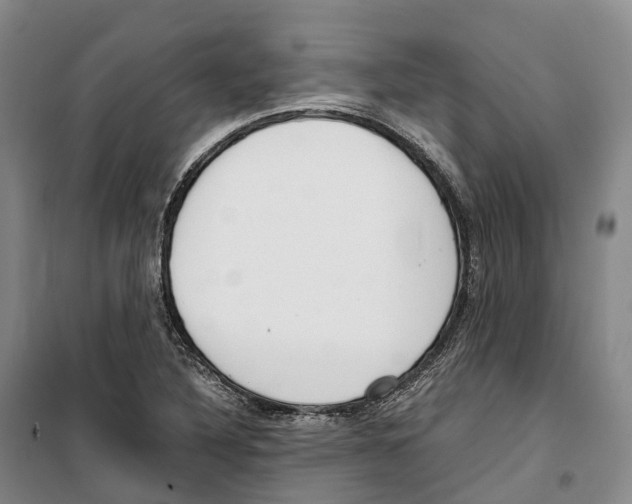 X0000099401316200806051158