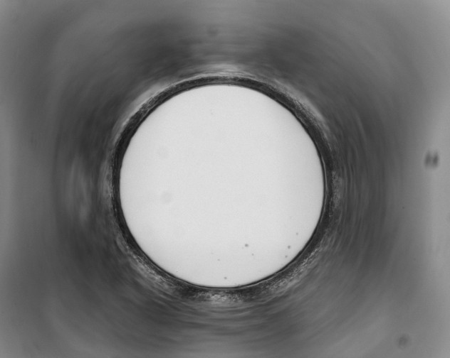 X0000099401318200806051159