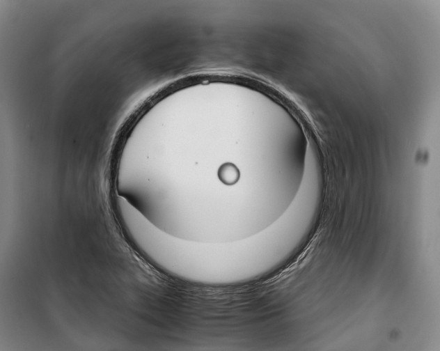 X0000099401319200806051159