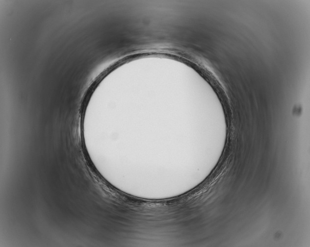 X0000099401320200806051159