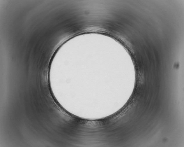 X0000099401322200806051159