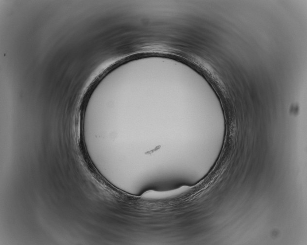 X0000099401323200806051159