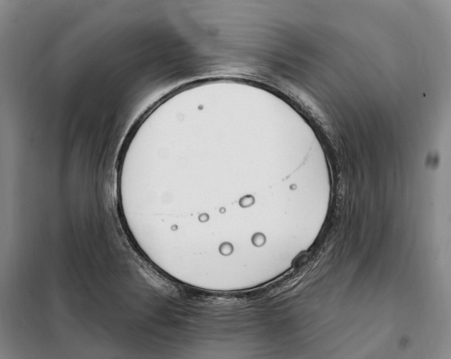 X0000099401324200806051159
