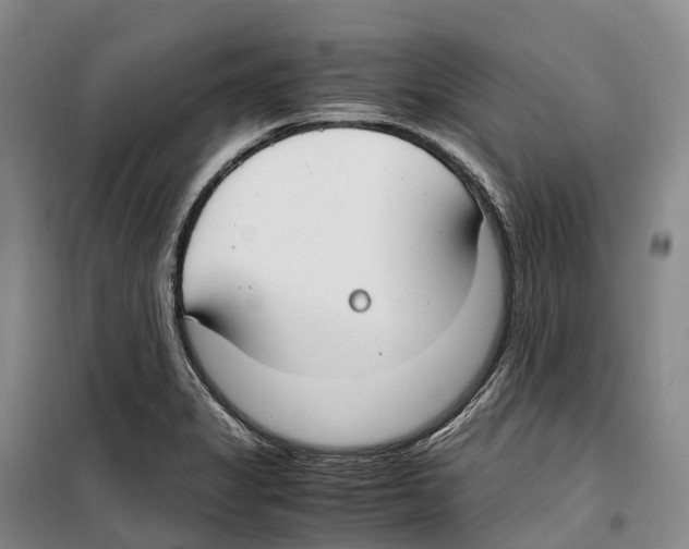 X0000099401325200806051159