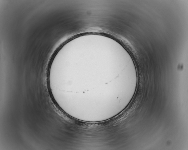 X0000099401326200806051159