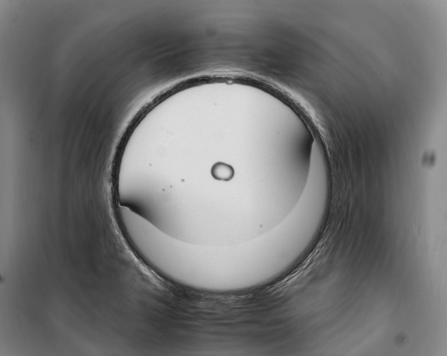 X0000099401327200806051159