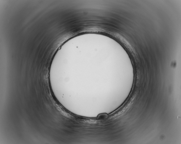 X0000099401329200806051159