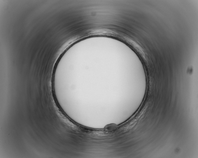 X0000099401330200806051159