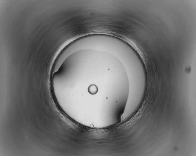 X0000099401331200806051159