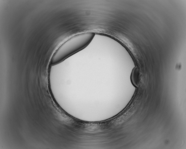 X0000099401332200806051159